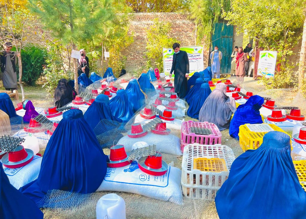 Supporting women through poultry package